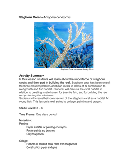 Staghorn Coral – Acropora Cervicornis Activity Summary in This Lesson