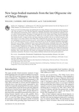 New Large-Bodied Mammals from the Late Oligocene Site of Chilga, Ethiopia