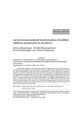 Agrobacterium-Mediated Transformation of Modified Antifreeze Protein Gene in Strawberry