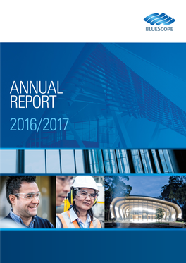 Annual Report 2016/2017 Chairman’S Message