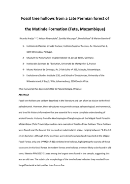 Fossil Tree Hollows from a Late Permian Forest of the Matinde Formation (Tete, Mozambique)