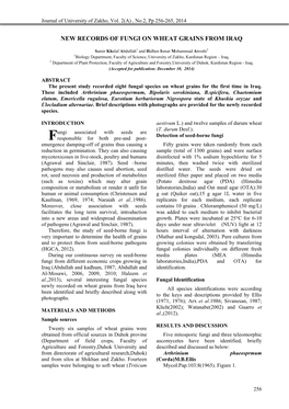 New Records of Fungi on Wheat Grains from Iraq