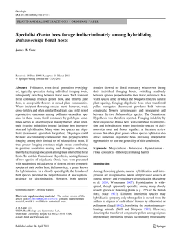 Specialist Osmia Bees Forage Indiscriminately Among Hybridizing Balsamorhiza ﬂoral Hosts