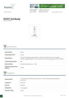 MYOT Antibody Cat