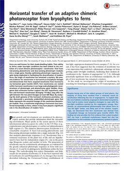 Horizontal Transfer of an Adaptive Chimeric Photoreceptor from Bryophytes to Ferns