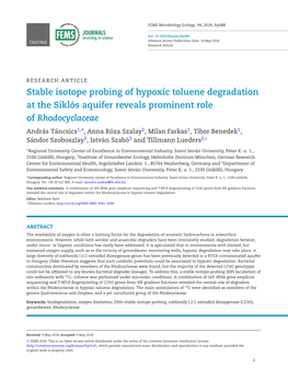 Stable Isotope Probing of Hypoxic Toluene Degradation at the Sikl ´Os