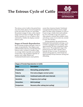 P2616 the Estrous Cycle of Cattle