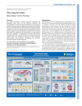 The Neural Crest Roberto Mayor* and Eric Theveneau
