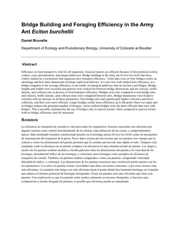 Bridge Building and Foraging Efficiency in the Army Ant Eciton Burchellii