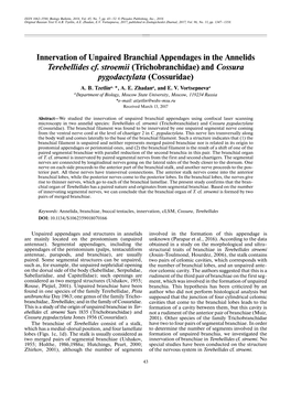 Innervation of Unpaired Branchial Appendages in the Annelids Terebellides Cf