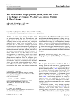 Nest Architecture, Fungus Gardens, Queen, Males and Larvae of the Fungus-Growing Ant Mycetagroicus Inﬂatus Branda˜O & Mayhe´-Nunes