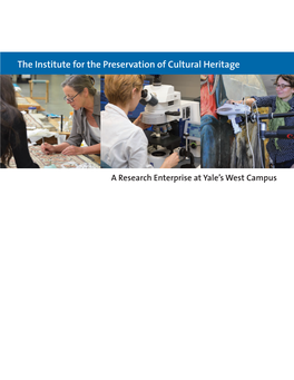 The Institute for the Preservation of Cultural Heritage