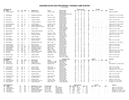 Anaheim Ducks Provisional Training Camp Roster (12-28-20)