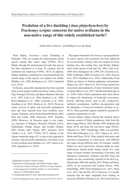 By Trachemys Scripta: Concerns for Native Avifauna in the Non-Native Range of This Widely Established Turtle?