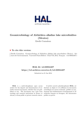 Geomicrobiology of Alchichica Alkaline Lake Microbialites (Mexico) Estelle Couradeau