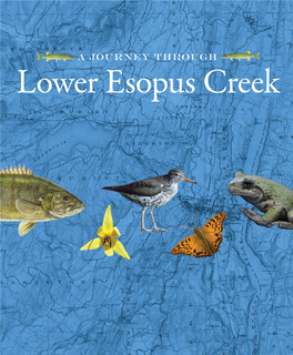 Lower Esopus Creek CONTENTS