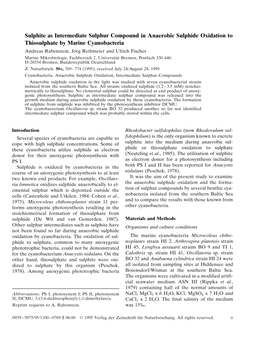 Sulphite As Intermediate Sulphur Compound in Anaerobic Sulphide