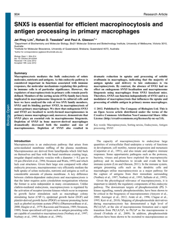 SNX5 Is Essential for Efficient Macropinocytosis and Antigen Processing in Primary Macrophages