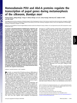 Homeodomain POU and Abd-A Proteins Regulate the Transcription of Pupal Genes During Metamorphosis of the Silkworm, Bombyx Mori