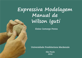 Expressiva Modelagem Manual De Wilson Iguti