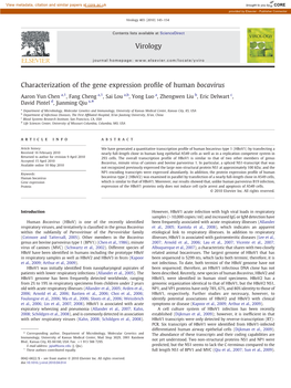 Characterization of the Gene Expression Profile of Human Bocavirus