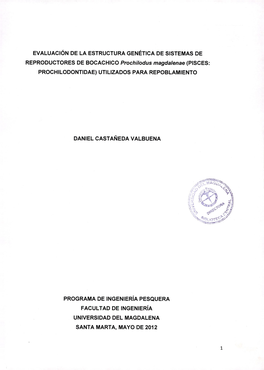 EVALUACIÓN DE LA ESTRUCTURA GENÉTICA DE SISTEMAS DE REPRODUCTORES DE BOCACHICO Prochilodus Magdalenae (PISCES: PROCHILODONTIDAE) UTILIZADOS PARA REPOBLAMIENTO