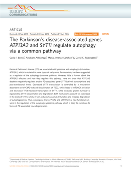 S Disease-Associated Genes ATP13A2 and SYT11 Regulate Autophagy Via a Common Pathway