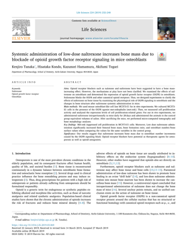 Systemic Administration of Low-Dose Naltrexone Increases Bone Mass