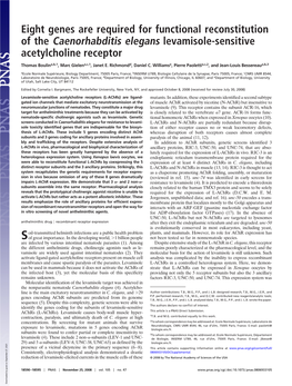 Eight Genes Are Required for Functional Reconstitution of the Caenorhabditis Elegans Levamisole-Sensitive Acetylcholine Receptor