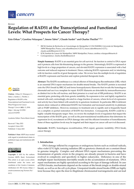 Regulation of RAD51 at the Transcriptional and Functional Levels: What Prospects for Cancer Therapy?