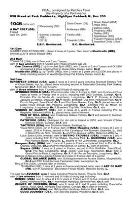 FOAL, Consigned by Petches Farm the Property of a Partnership Will Stand at Park Paddocks, Highflyer Paddock M, Box 233