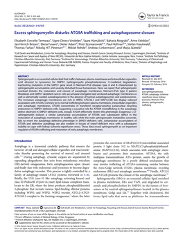 Excess Sphingomyelin Disturbs ATG9A Trafficking And