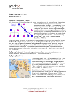 A Y-Chromosome DNA Profile Can Provide Unique Information About the Paternal Lineage of a Particular Individual