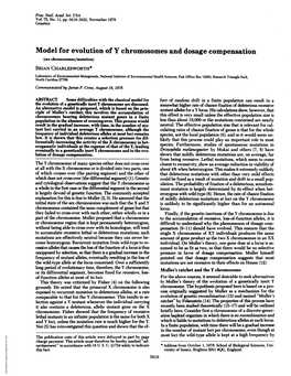 Model for Evolution of Y Chromosomes and Dosage Compensation