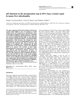 P53 Functions in the Incorporation Step in DNA Base Excision Repair in Mouse Liver Mitochondria