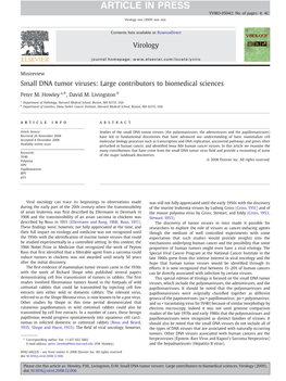 Small DNA Tumor Viruses: Large Contributors to Biomedical Sciences