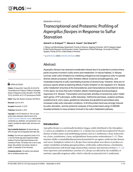 Transcriptional and Proteomic Profiling of Aspergillus Flavipes in Response to Sulfur Starvation