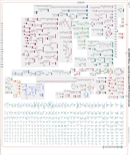 Generate Metabolic Map Poster