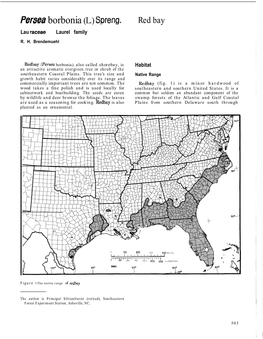 Persea Borbonia (L.) Spreng. Red Bay Lau Raceae Laurel Family