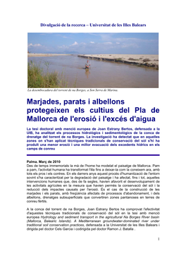 Marjades, Parats I Albellons Protegeixen Els Cultius Del Pla De Mallorca De L'erosió I L'excés D'aigua