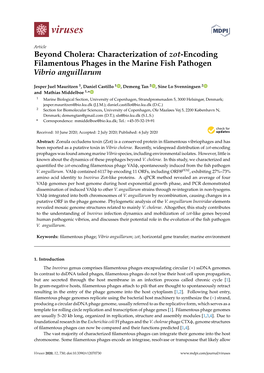 Beyond Cholera: Characterization of Zot-Encoding Filamentous Phages in the Marine Fish Pathogen Vibrio Anguillarum