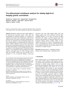 Two-Dimensional Enrichment Analysis for Mining High-Level Imaging Genetic Associations