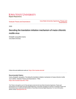 Decoding the Translation Initiation Mechanism of Maize Chlorotic Mottle Virus