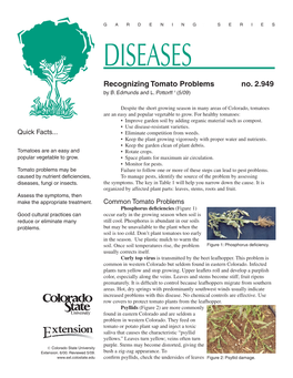 DISEASES Recognizing Tomato Problems No