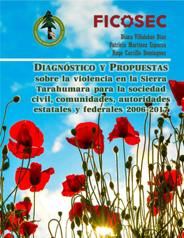 Diagnóstico Y Propuestas Sobre La Violencia En La Sierra Tarahumara Para La Sociedad Civil, Comunidades, Autoridades Estatales Y Federales 2006-2017