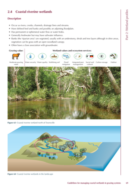 2.4 Coastal Riverine Wetlands