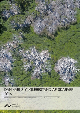 Danmarks Ynglebestand Af Skarver I 2016