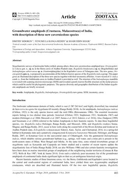 Groundwater Amphipods (Crustacea, Malacostraca) of India, with Description of Three New Cavernicolous Species
