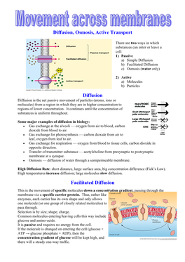 Facilitated Diffusion C) Osmosis (Water Only)