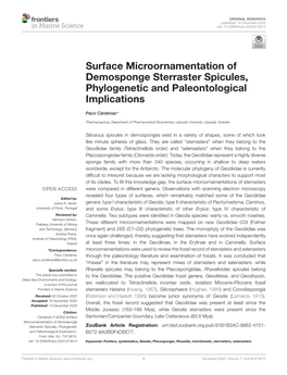 Surface Microornamentation of Demosponge Sterraster Spicules, Phylogenetic and Paleontological Implications